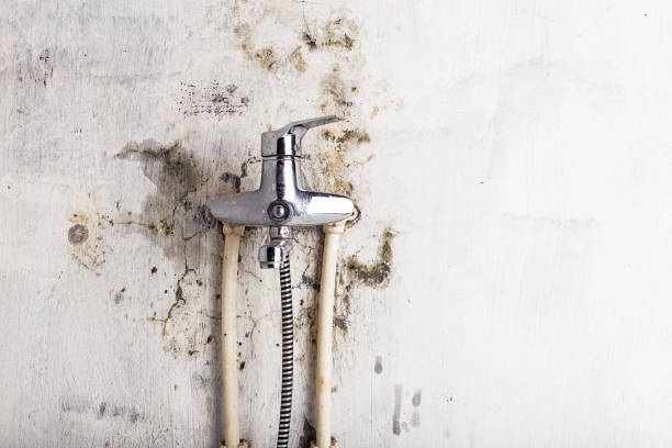 Best Post-Remediation Services in Camden, SC